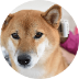 定期的なお手入れ03
